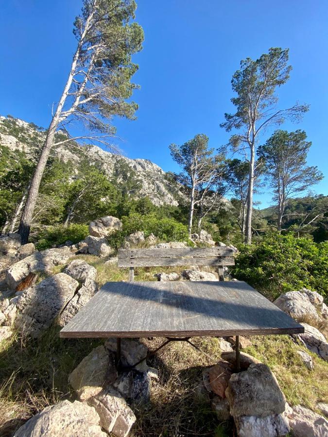 Ses Fontanelles Affittacamere