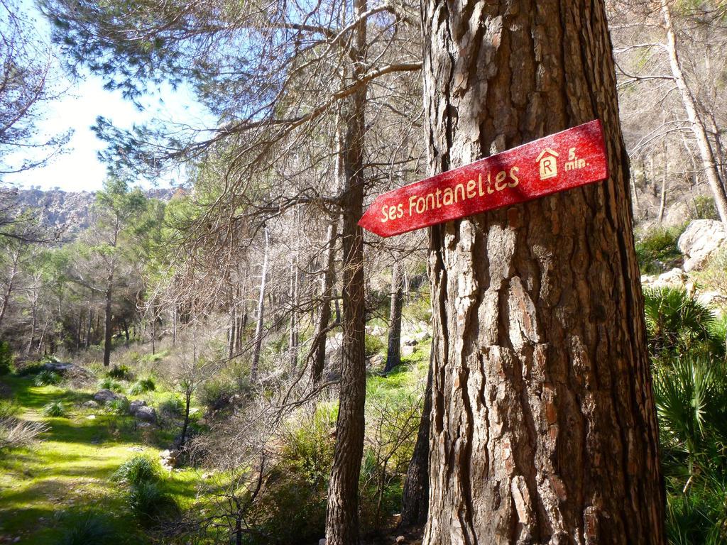 Affittacamere Ses Fontanelles *
