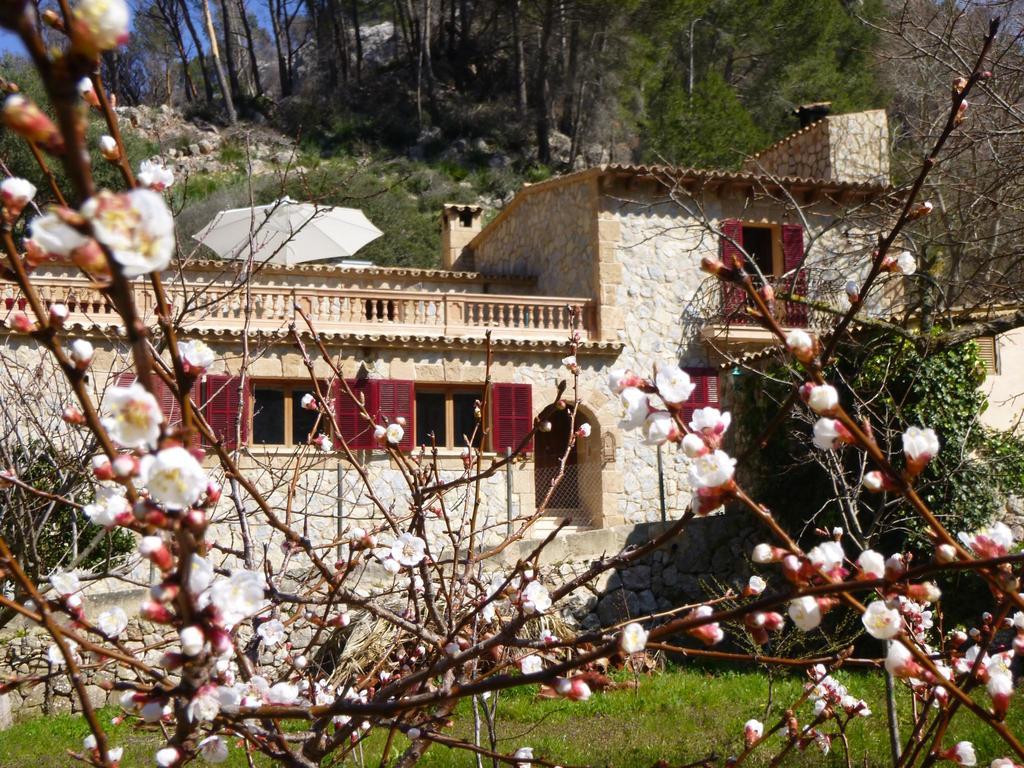 Ses Fontanelles Affittacamere Andratx