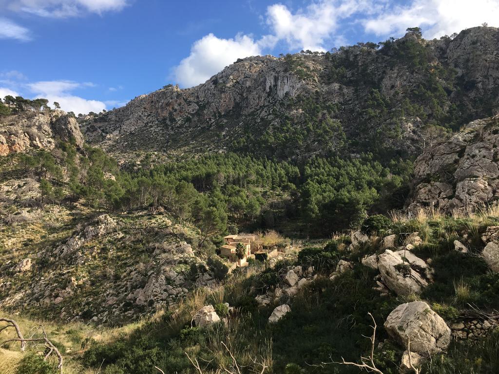 Affittacamere Ses Fontanelles Andratx