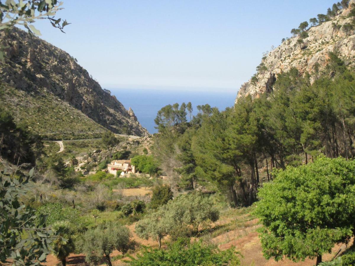 Ses Fontanelles Andratx